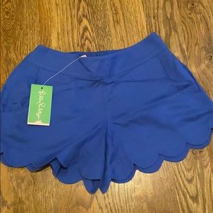 NWT Dahlia Shorts